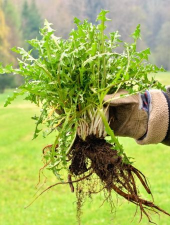 Beaumont, CA Weed-Abatement Season Starts May 15: Ignore It and You’ll Get a Bill