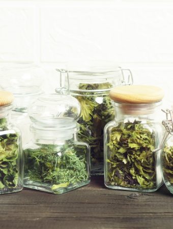 6 Low-Cost Ways to Store a Sudden Herb Harvest
