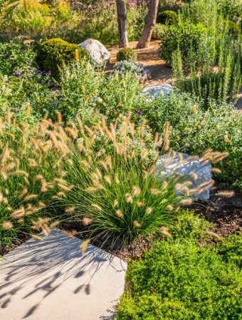 Drought Conditions Are Affecting U.S. Agriculture—What Home Gardeners Should Watch