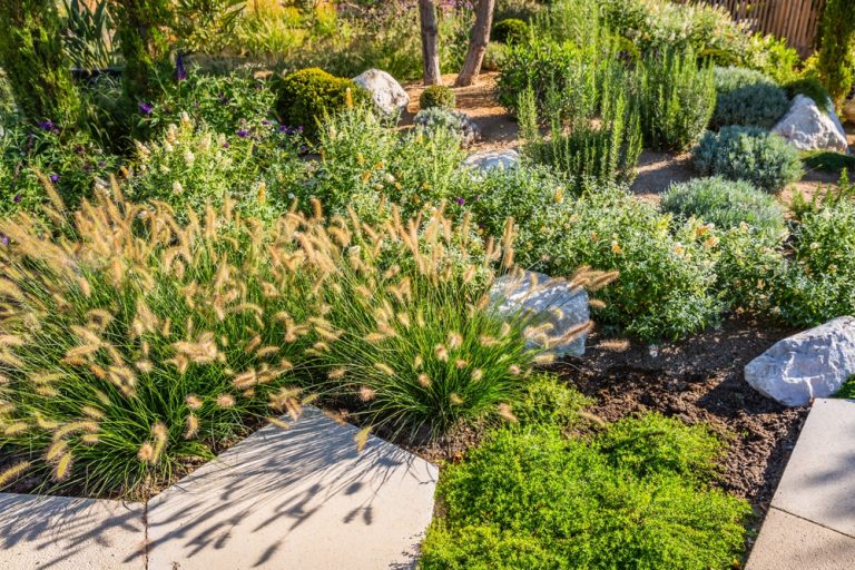 Drought Conditions Are Affecting U.S. Agriculture—What Home Gardeners Should Watch