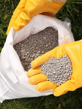 Pennsylvania’s New Fertilizer Law Bans Phosphorus and Caps Nitrogen at 0.7 lb per 1,000 Sq Ft