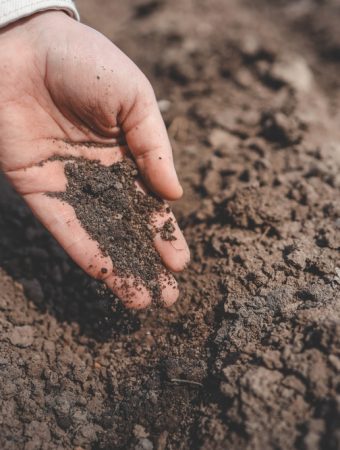 Can Biochar Help Sandy Soil Hold Water During Hot Weather?