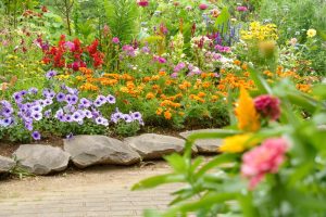 7 Muted Flower Colors Showing Up in Modern Summer Borders