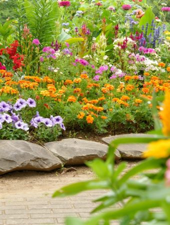 7 Muted Flower Colors Showing Up in Modern Summer Borders
