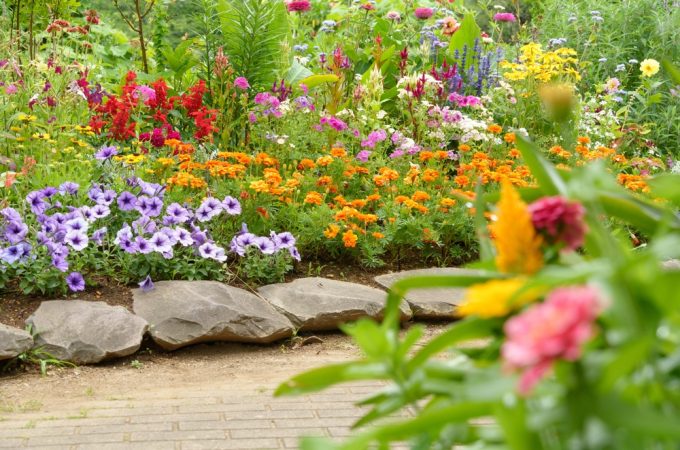 7 Muted Flower Colors Showing Up in Modern Summer Borders