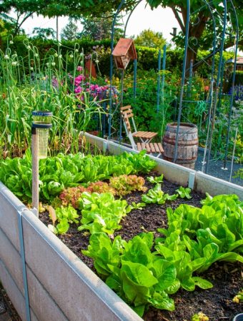 10 Backyard Gardening Trends Taking Over Summer 2026