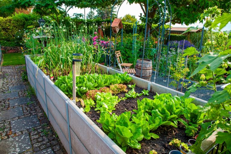 10 Backyard Gardening Trends Taking Over Summer 2026