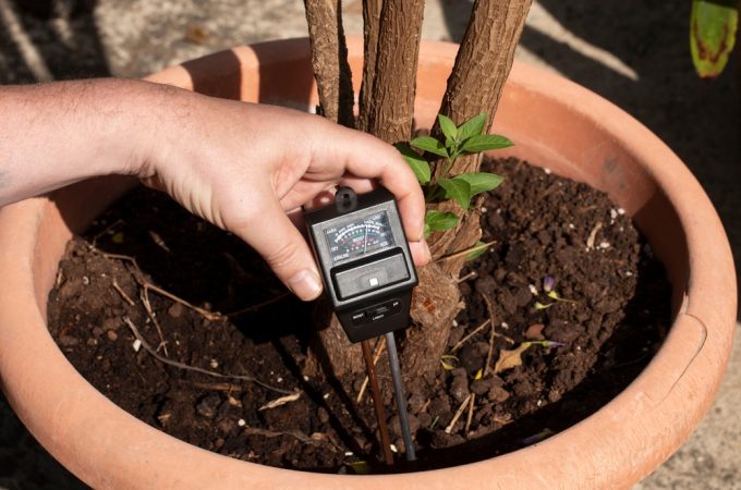 The Heat-Wave Watering Mistake That Can Kill Container Gardens