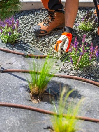 Could a Gravel Garden Cut Watering Without Looking Bare?