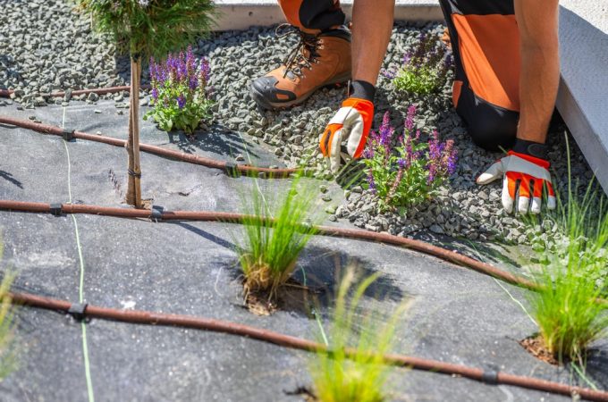 Could a Gravel Garden Cut Watering Without Looking Bare?
