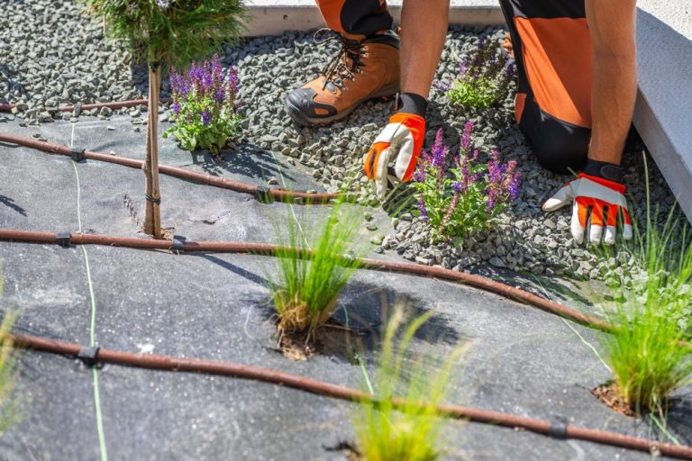 Could a Gravel Garden Cut Watering Without Looking Bare?