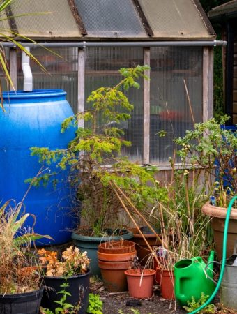 Are Punctured Rain Barrels the Next Low-Cost Irrigation Trend?