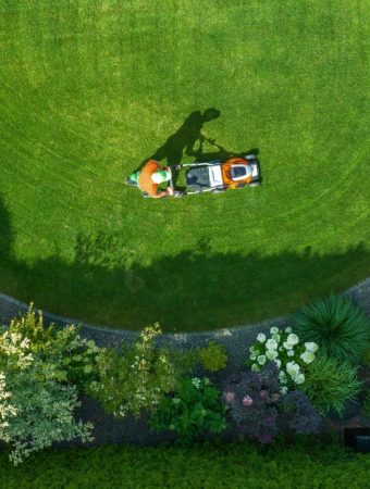 Why More People Are Choosing Functional Landscaping Over Traditional Lawns