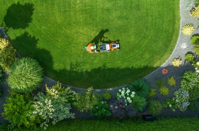 Why More People Are Choosing Functional Landscaping Over Traditional Lawns