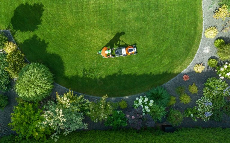 Why More People Are Choosing Functional Landscaping Over Traditional Lawns