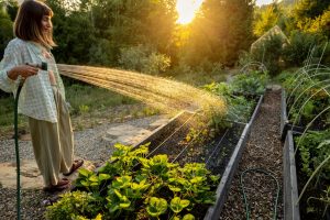 7 Heat-Safe Garden Chores Worth Doing Before Breakfast