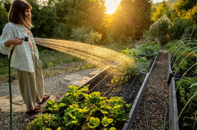 7 Heat-Safe Garden Chores Worth Doing Before Breakfast