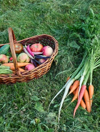 Can a Backyard Garden Really Beat Grocery Inflation? We Ran the Numbers