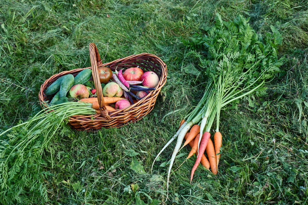 Can a Backyard Garden Really Beat Grocery Inflation? We Ran the Numbers