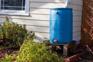 Water-Smart Gardening Is Essential: Capture Rainwater, Compost to Retain Moisture and Water at Dawn or Dusk