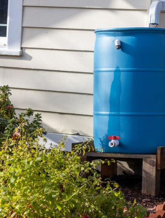 Water-Smart Gardening Is Essential: Capture Rainwater, Compost to Retain Moisture and Water at Dawn or Dusk