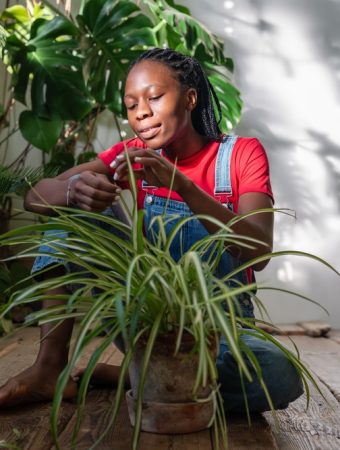 Why Are Gardeners Moving Houseplants Outdoors for the Summer?