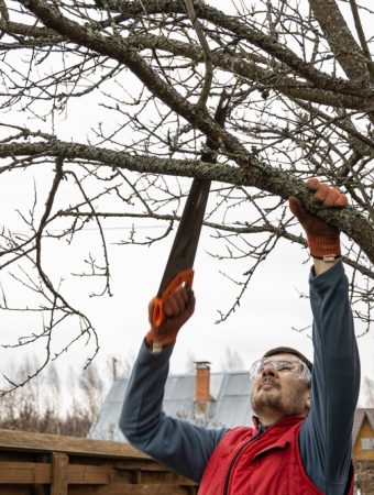 5 Garden Repairs to Make Before the Next Summer Storm