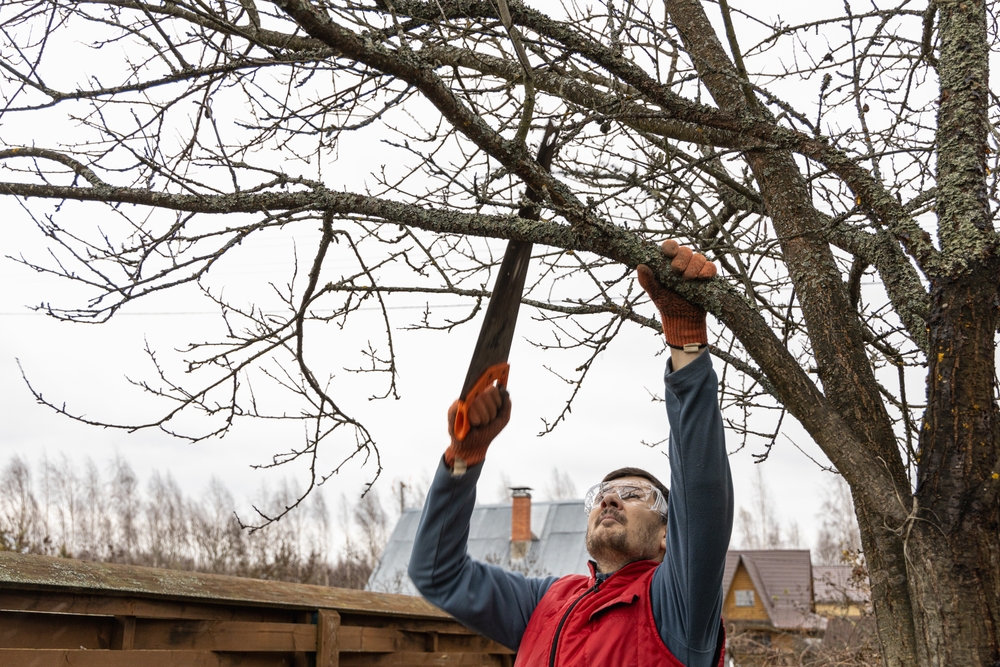 5 Garden Repairs to Make Before the Next Summer Storm