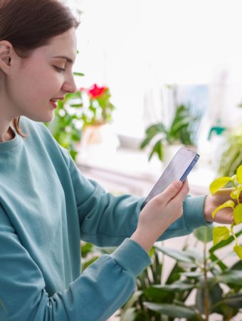 Can AI Plant Apps Diagnose Garden Problems Accurately?