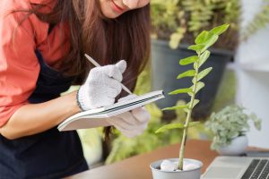 Can a Garden Journal Help You Spend Less Next Season?