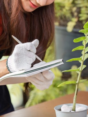 Can a Garden Journal Help You Spend Less Next Season?