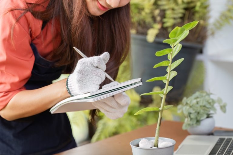 Can a Garden Journal Help You Spend Less Next Season?