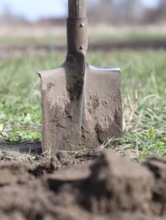 5 Ways to Revive Soil That Has Turned Hard and Crusty