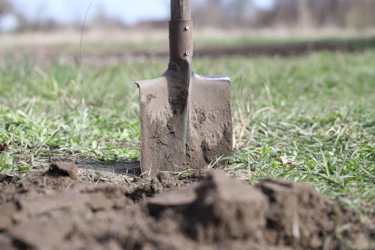 5 Ways to Revive Soil That Has Turned Hard and Crusty