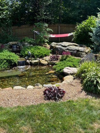 7 Reasons Small Wildlife Ponds Are Gaining Ground