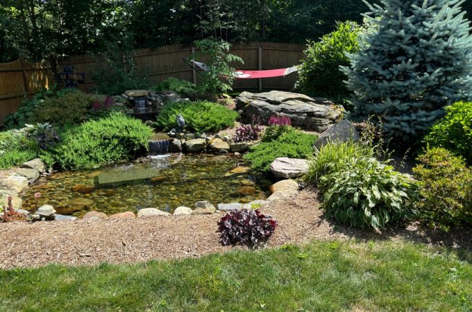 7 Reasons Small Wildlife Ponds Are Gaining Ground