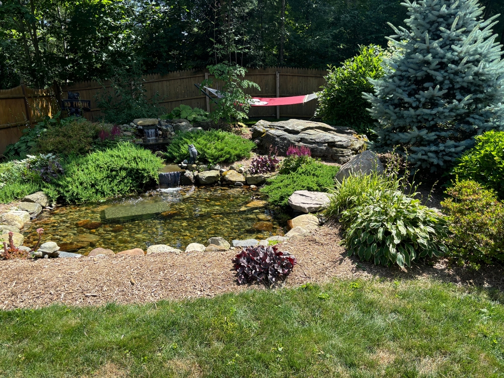 7 Reasons Small Wildlife Ponds Are Gaining Ground