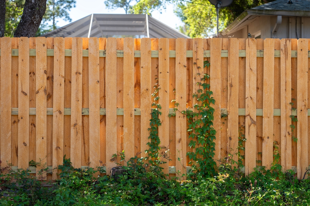 5 Ways to Turn a Bare Fence Into a Productive Growing Space