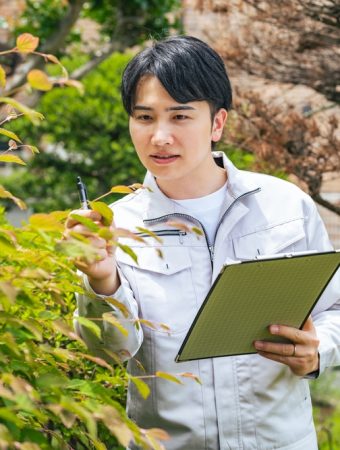 How to Use a Cooperative Extension Plant Clinic