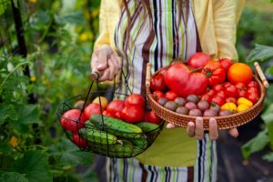 What Should You Harvest Early Before a Heat Dome Arrives?