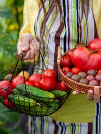 What Should You Harvest Early Before a Heat Dome Arrives?
