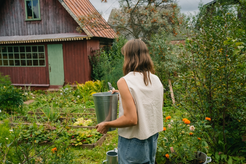 Growing with Graywater: Use Shower and Bath Water to Irrigate Ornamentals Safely