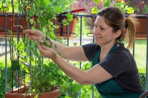 Why Are More People Growing Food on Tabletops and Railings?