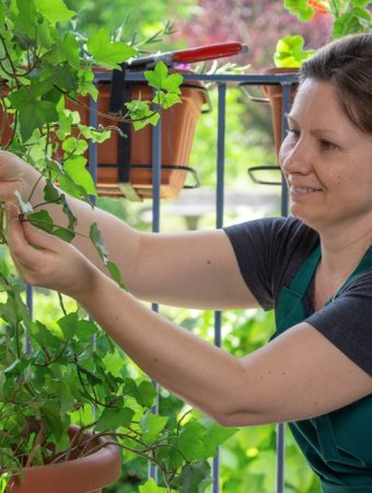 Why Are More People Growing Food on Tabletops and Railings?