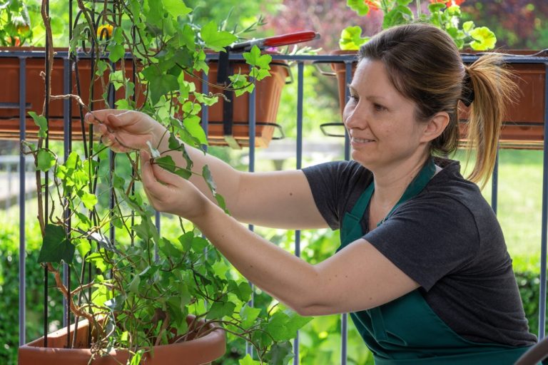 Why Are More People Growing Food on Tabletops and Railings?