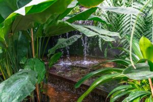 5 Ways to Make a Small Garden Feel Cooler Without Adding Trees