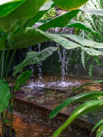 5 Ways to Make a Small Garden Feel Cooler Without Adding Trees