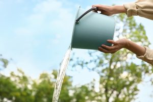 Graywater Best Practices: Use Biodegradable Soap, Drip Directly Into Soil and Alternate with Fresh Water