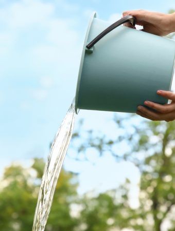Graywater Best Practices: Use Biodegradable Soap, Drip Directly Into Soil and Alternate with Fresh Water