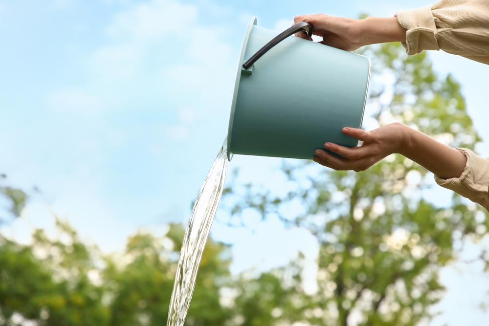 Graywater Best Practices: Use Biodegradable Soap, Drip Directly Into Soil and Alternate with Fresh Water